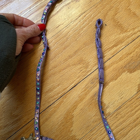 Muscle Dazzle Competition Suit with case, extra rhinestones & jewelry. - Picture 13 of 17